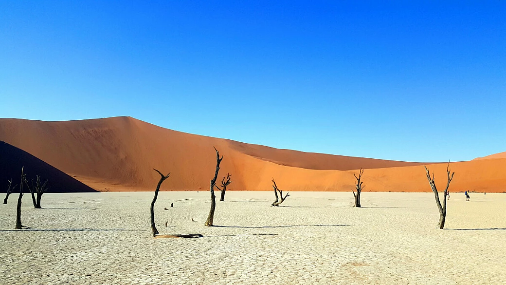 emozionante namibia
