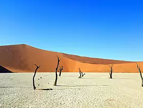 namibia-73cte