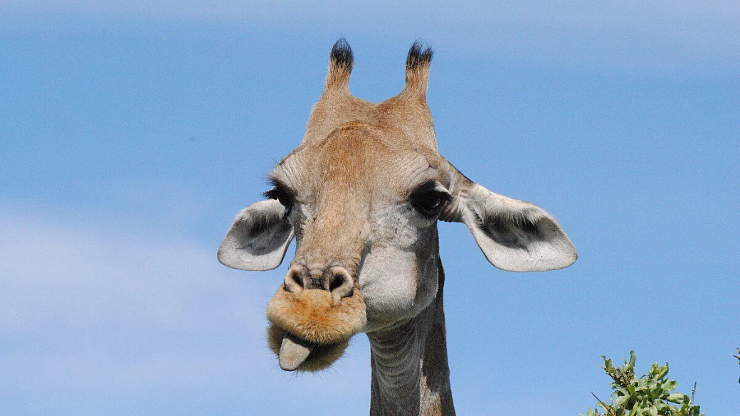 campeggio in namibia con la famiglia