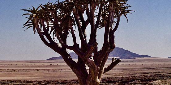 Namibia, la terra dai mille volti 9