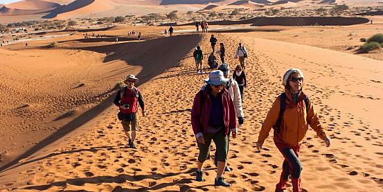 sulle dune del deserto del Namib