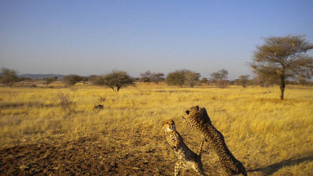 massimo e florence in namibia
