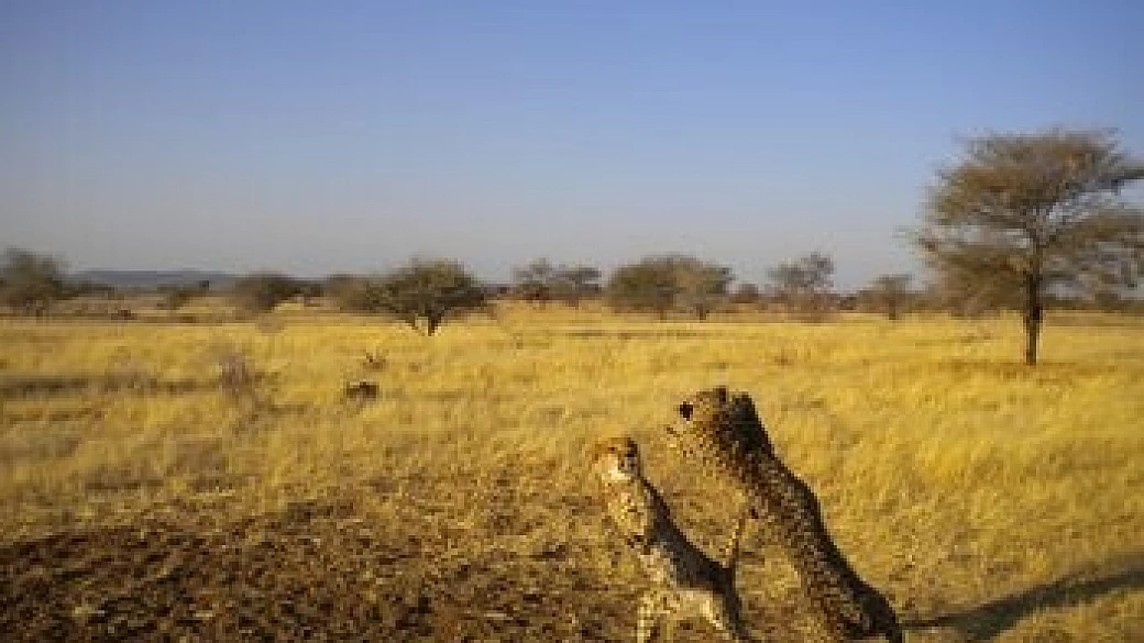 namibia... un paese che ti conquista