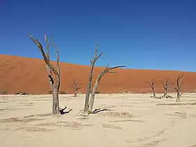 namibia-rcfap