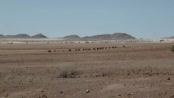namibia tra deserto e mare