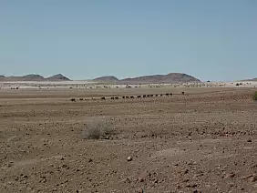 namibia-t7e5z
