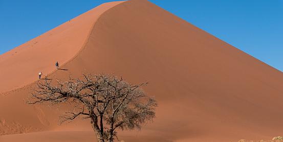 Namibia, dove le dune di sabbia scendono in mare