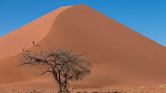 namibia, dove le dune di sabbia scendono in mare
