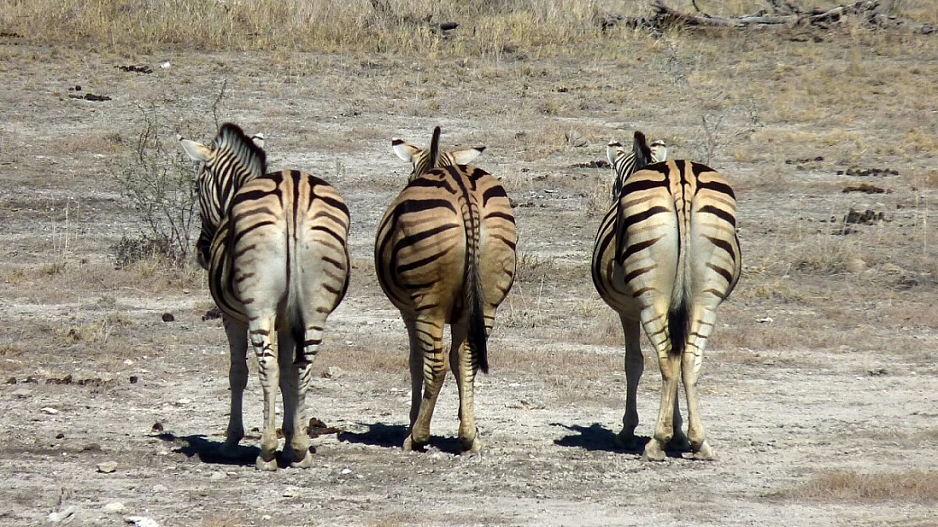 namibia, incredibile bellezza