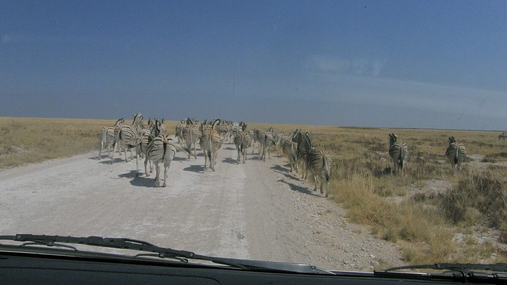 caleidoscopio namibiano