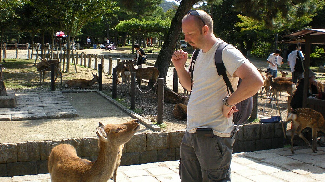 i ciliegi in fiore... con la neve 2