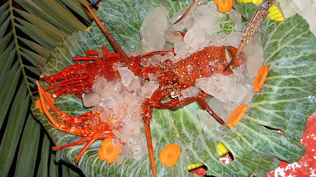 vi saluta il dugongo: cinderella beach resort