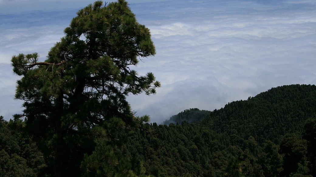barcellona che bella citta'