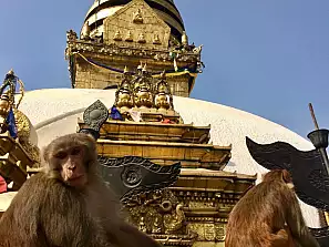 kathmandu tempio delle scimmie 2