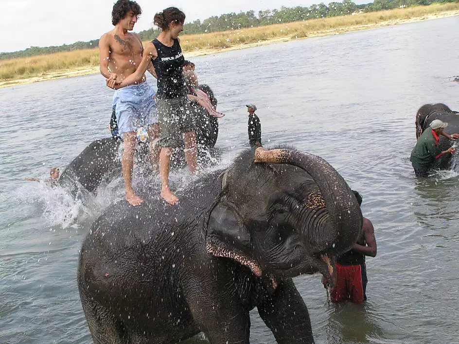il bagno con gli elefanti!