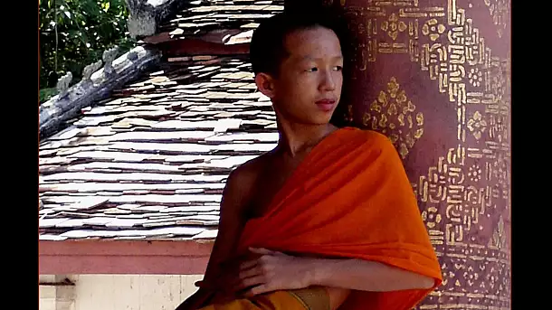 monaco del monastero di luang prabang