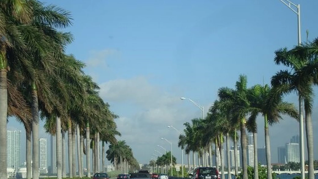 la più bella di new orleans