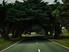 new-south-wales-jk3qa