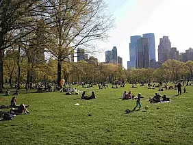 new-york-region-zu87c