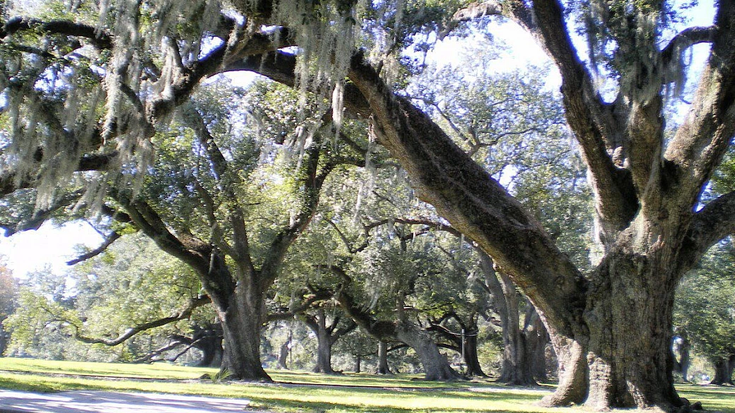 new york è sempre new york 2