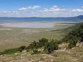 ngorongoro-j397a