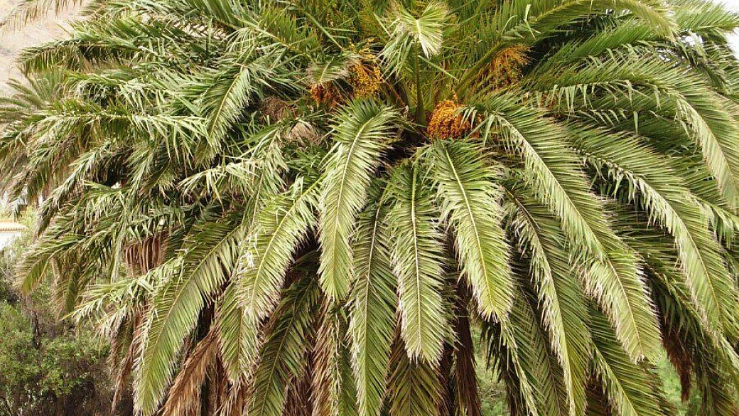 barcellona sempre affascinate..