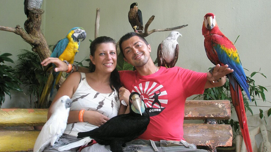 thai, malaysia, singapore: noodle & zen