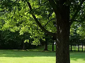 niagara-falls-fiume-suawq