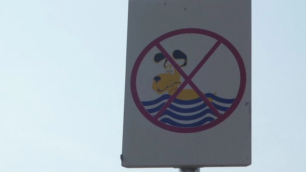 cres, tra macchia e calamari alla griglia