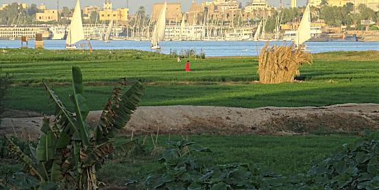 Egitto: Sharm el Sheikh e Sinai del Sud