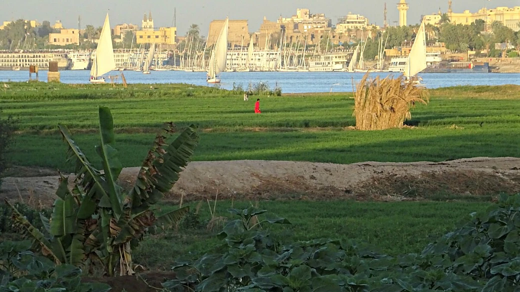 egitto: sharm el sheikh e sinai del sud