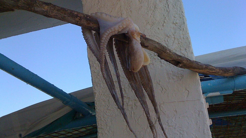 dodecaneso, le isole delle cicale.