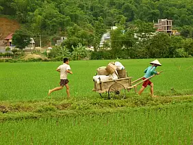 north-vietnamese-bay-7bj2v