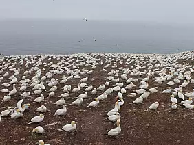 nova-scotia-region-1675s