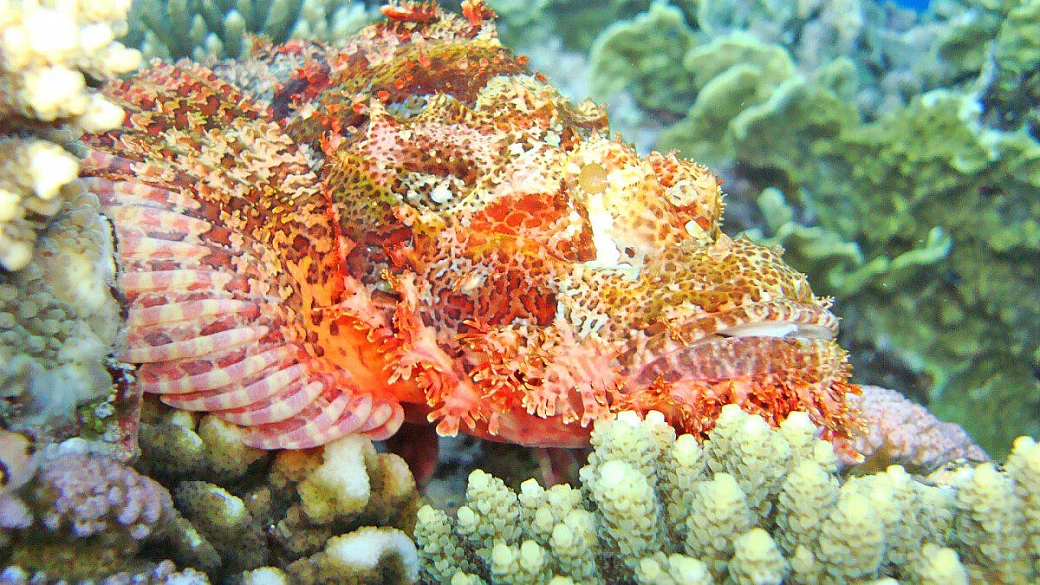 egitto fai da te, perchè no?