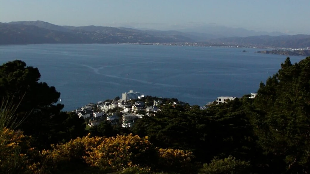 giro del mondo - giappone / nuova zelanda / san francisco / londra