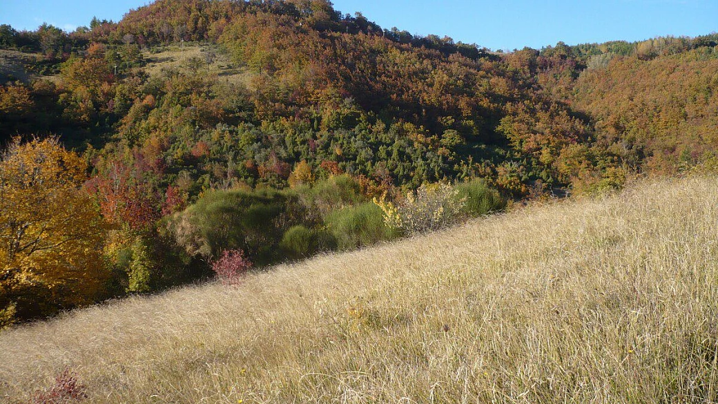 padova - monti sibillini in moto