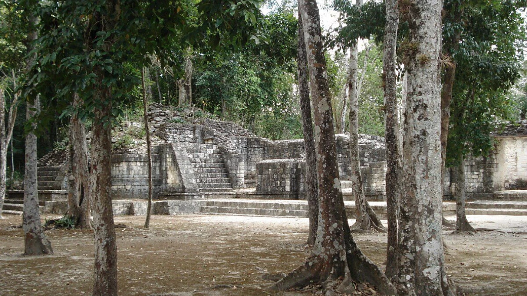 bruce è un nome di cane