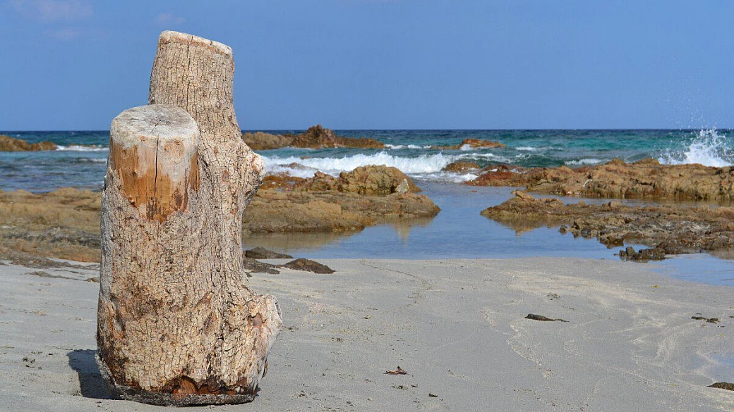 sardegna: mare bellissimo, ma...