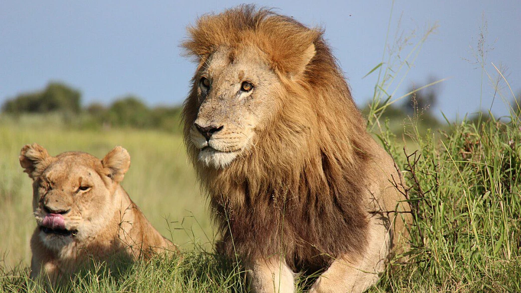 botswana, the place of plenty