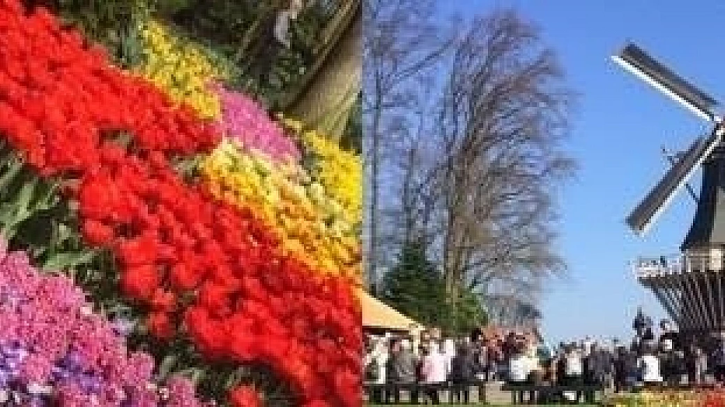 amsterdam, keukenhof e dintorni