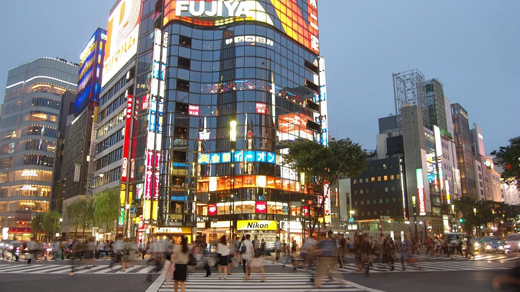 i ciliegi in fiore... con la neve