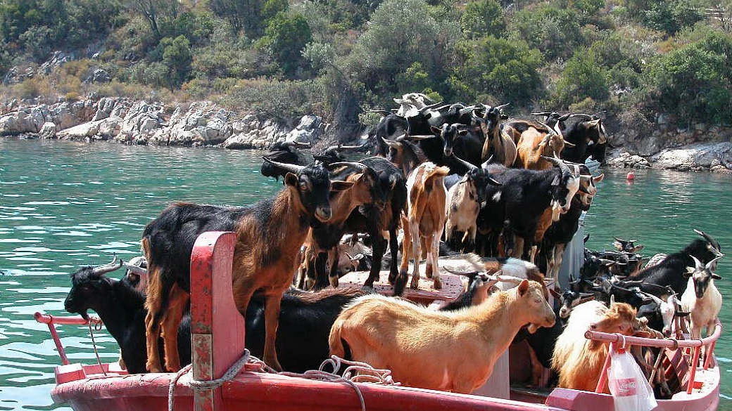 un pezzo di paradiso è caduto su alonissos