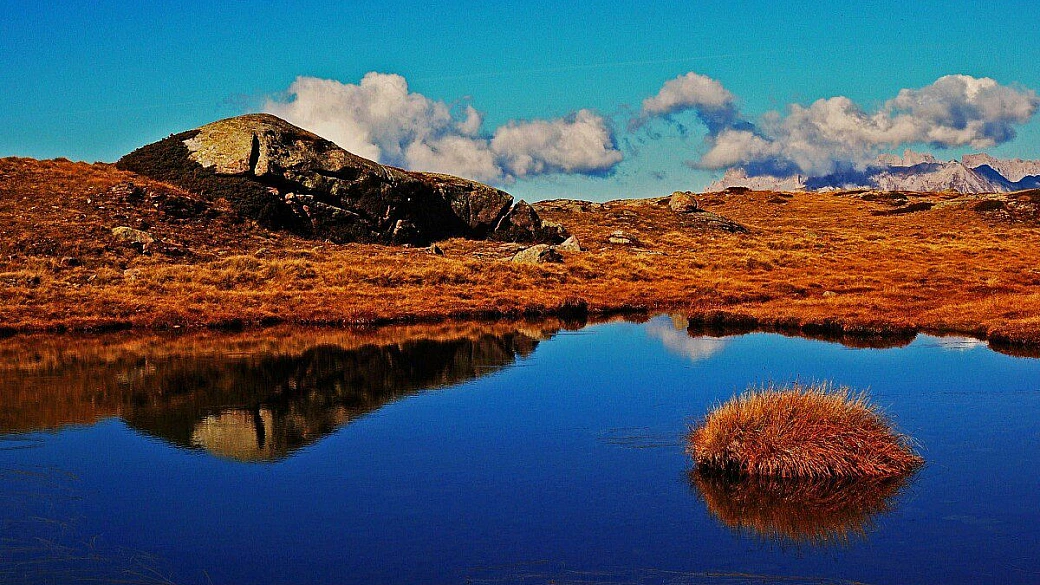 stintino, la pelosa, saline e ...non solo