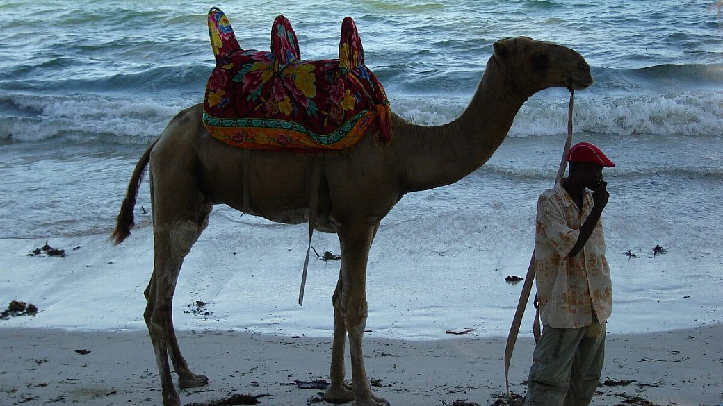 una settimana al blue bay