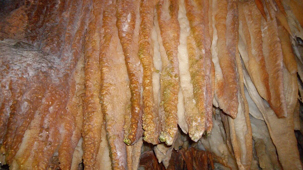 il viaggio di nozze di angelo e daniela