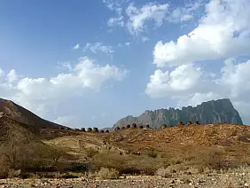 oman-1wk4d