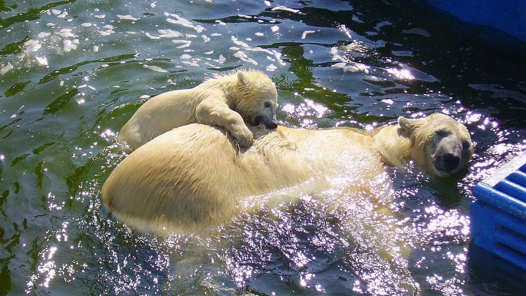 sicilia orientale: treno e moto