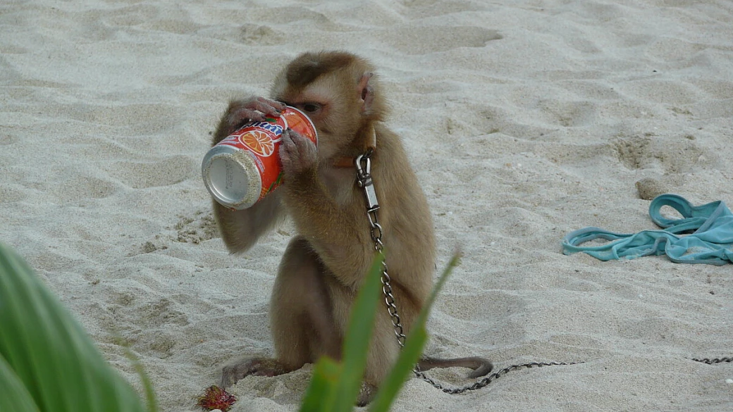 thailandia, sfidiamo chiunque