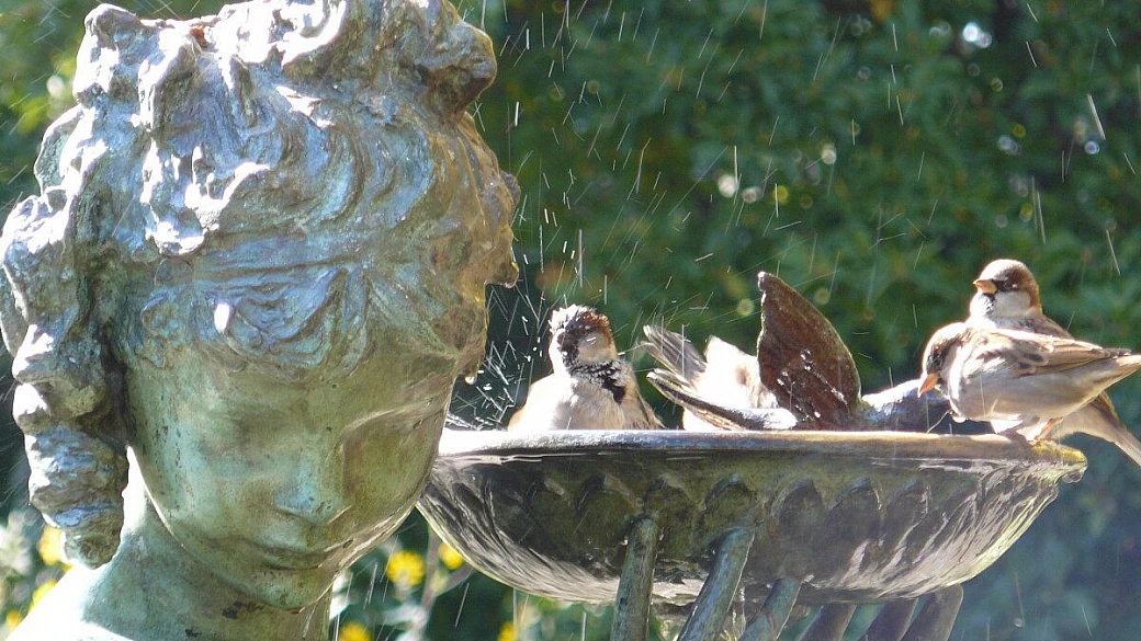 florida, the sunshine state